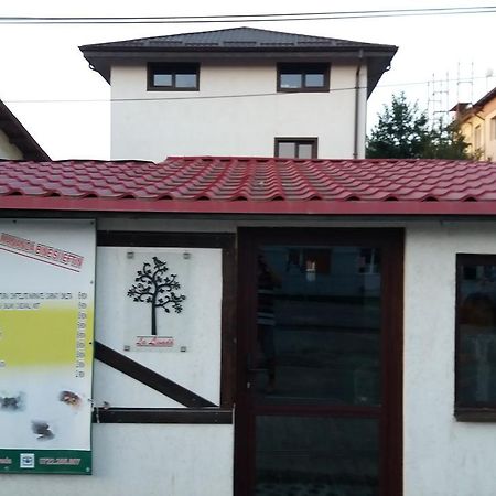 La Livada Bed & Breakfast Otopeni Bagian luar foto