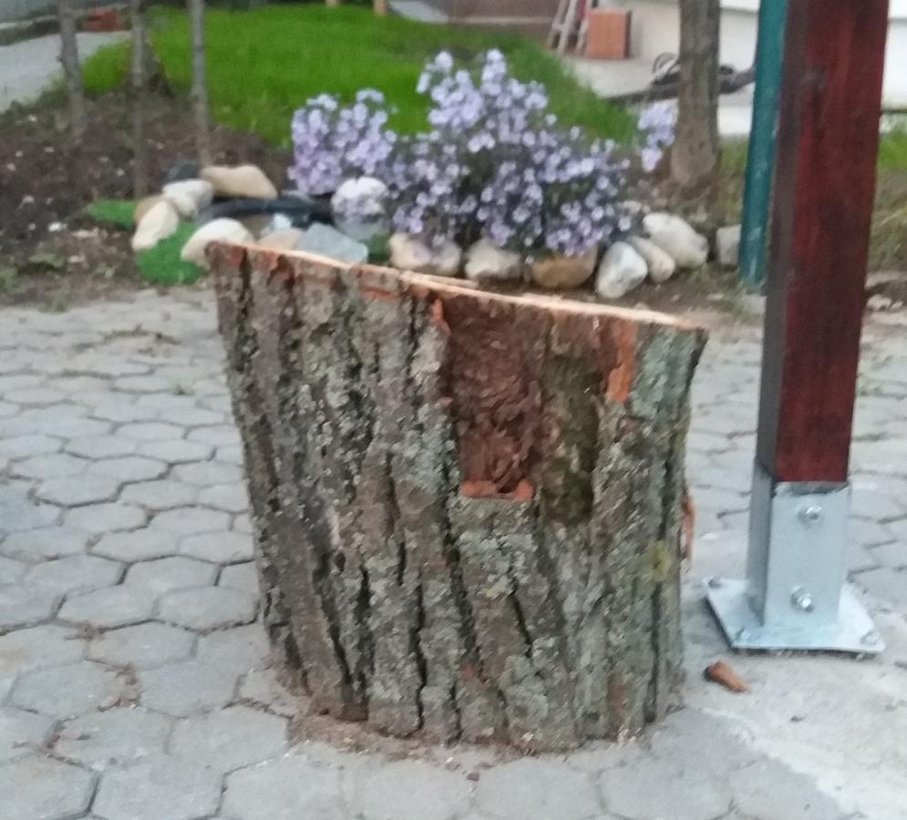 La Livada Bed & Breakfast Otopeni Bagian luar foto