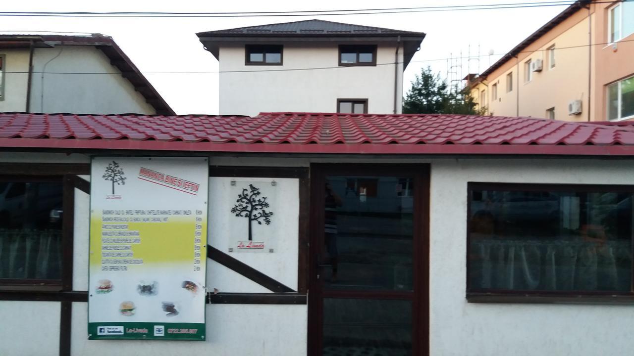 La Livada Bed & Breakfast Otopeni Bagian luar foto